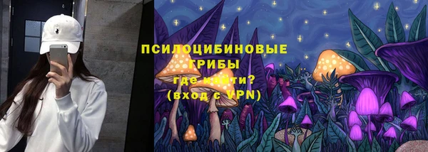 ешки Алексин