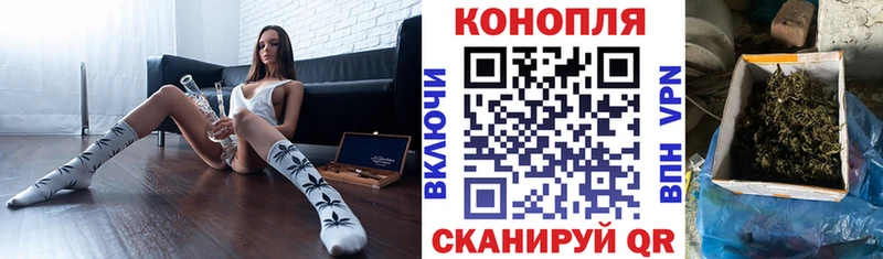 Бошки марихуана ГИДРОПОН  продажа наркотиков  Кизел 